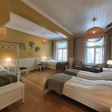 Large In A 19th-century Wooden House In The Center Of Lägenhet *